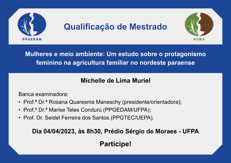 PPGEDAM - Qualificação de Mestrado de Michelle de Lima Muriel